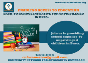 cnfacameroon.org